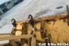 1994 Massey Ferguson / 50D Backhoe Loader Stock No. 95154